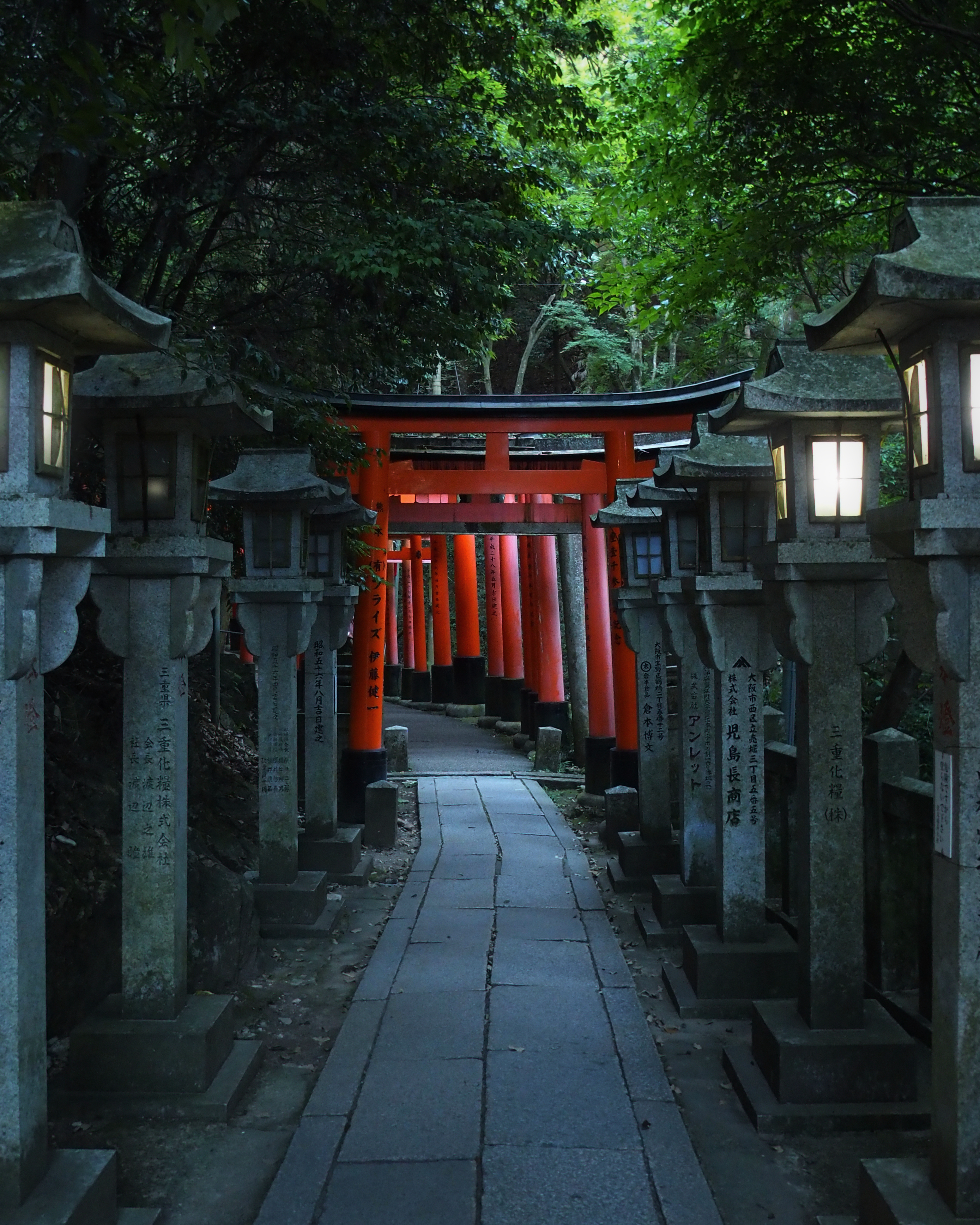 Torii in Japan